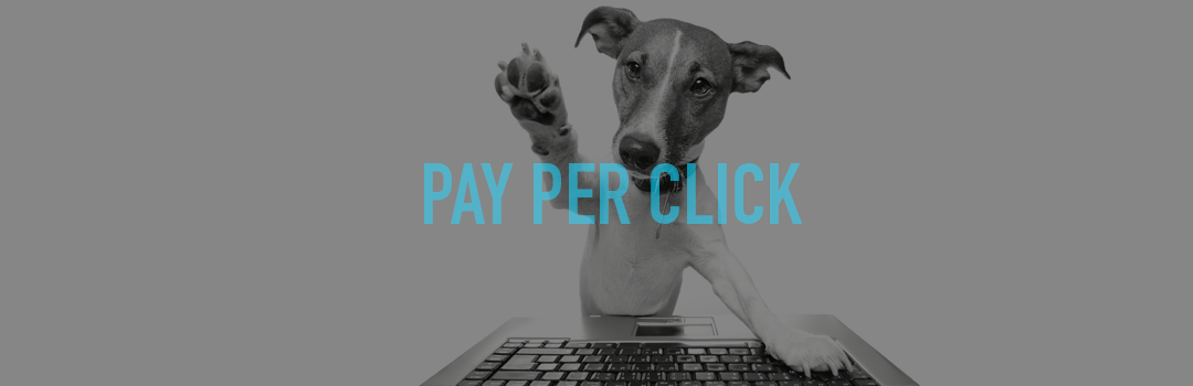 1 Pay Per Click Task for 2014