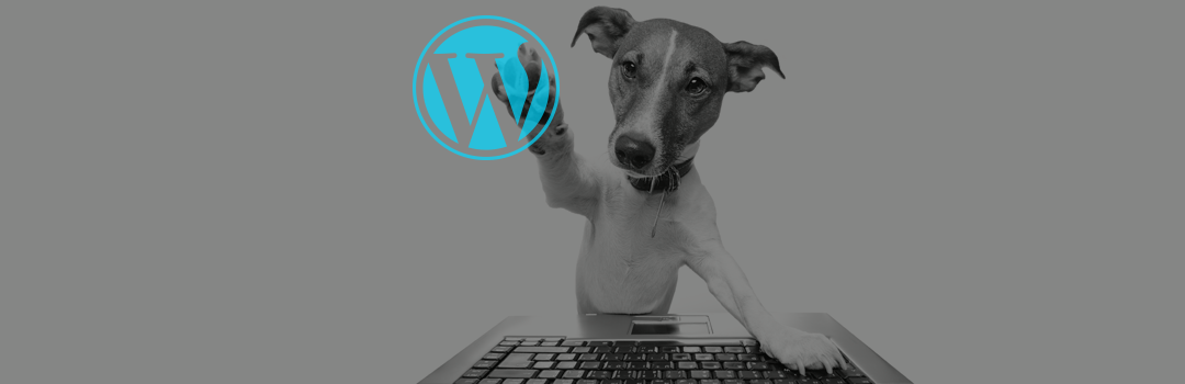 Our favourite WordPress plugin to fix broken links