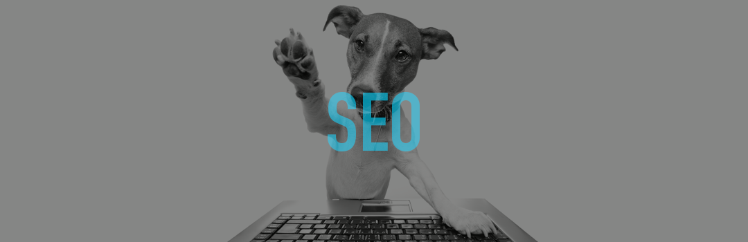 On Page SEO, the 6 key things you need to know
