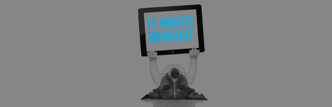 A 15 minute workout for your WordPress website