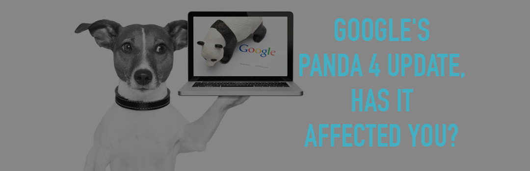 Google’s Panda 4 Update, has it affected you?