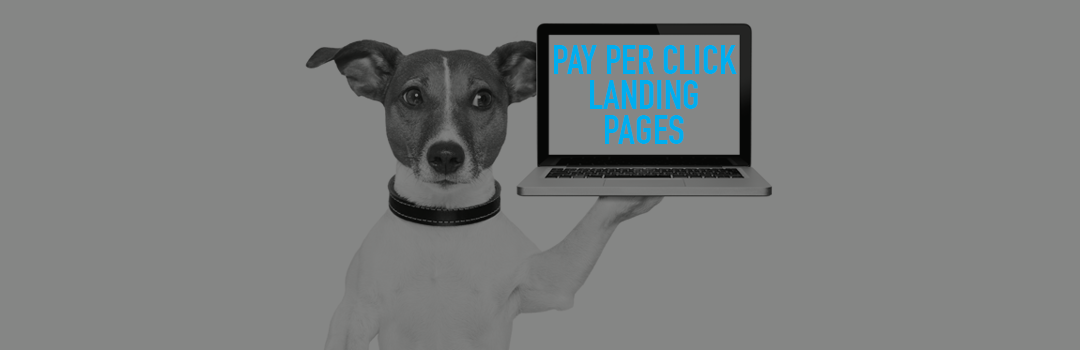 Pay Per Click Landing Pages