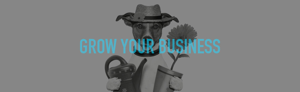 blog-grow-your-business